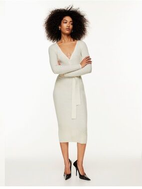 Like New Aritzia The Group by Babaton Henley Sweater dress